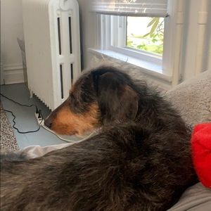 Meet your Posher, Tara